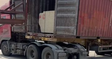 泉州 黄金麻荔枝面毛板