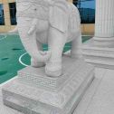 泉州 白麻花岗岩动物异形石雕-大象