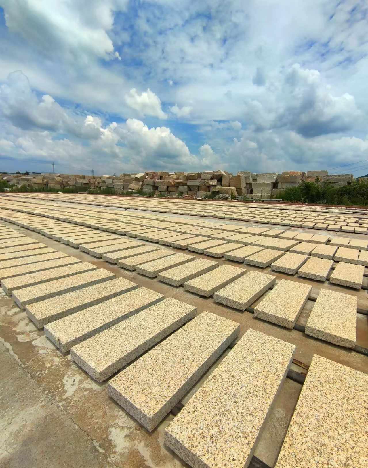 泉州 黄金麻荔枝面花岗岩石材地铺石防护中