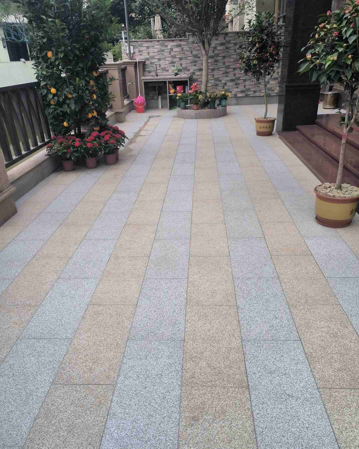 泉州 黄金麻白麻荔枝面庭院铺装展示