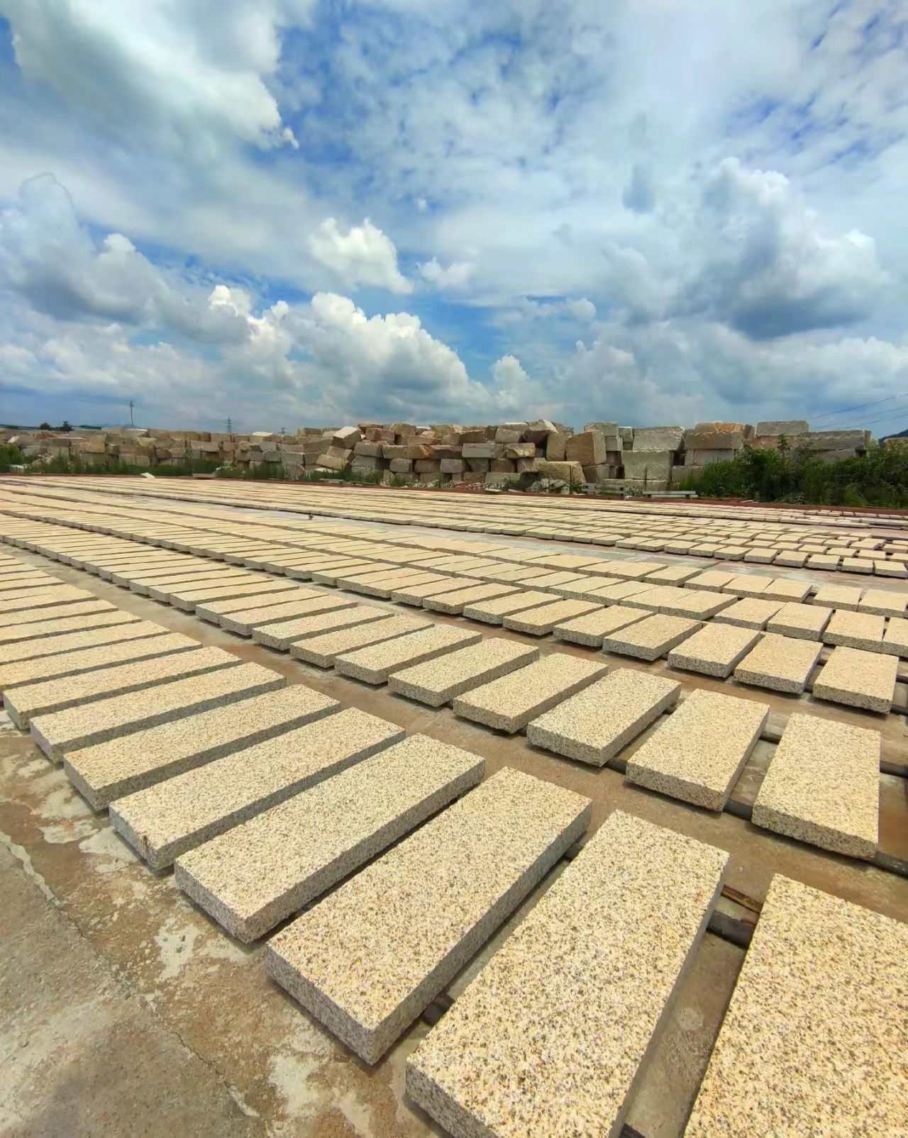 泉州 黄金麻花岗岩荔枝面地铺石防护中